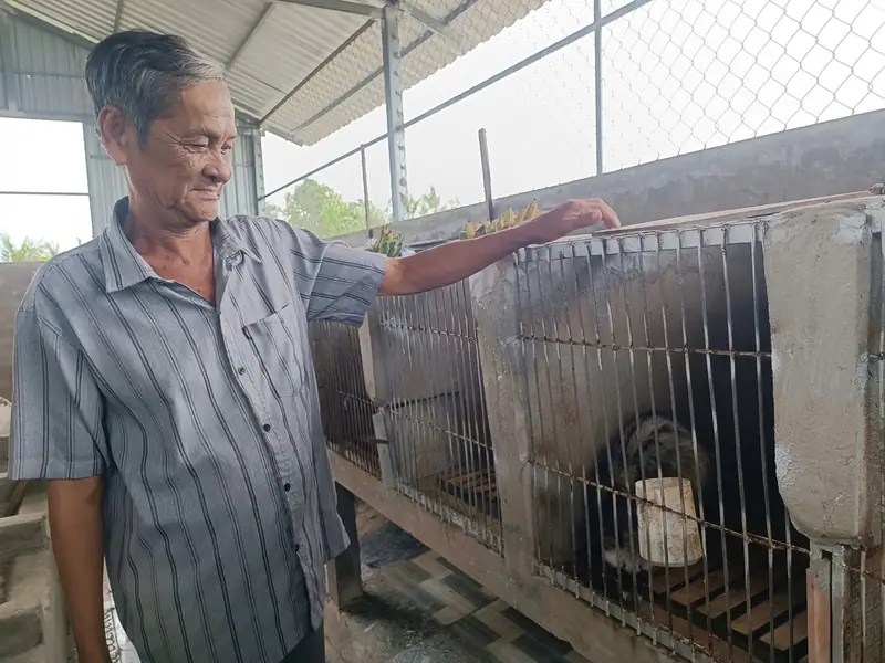 Dãy chuồng nuôi chồn có mái che tại trang trại